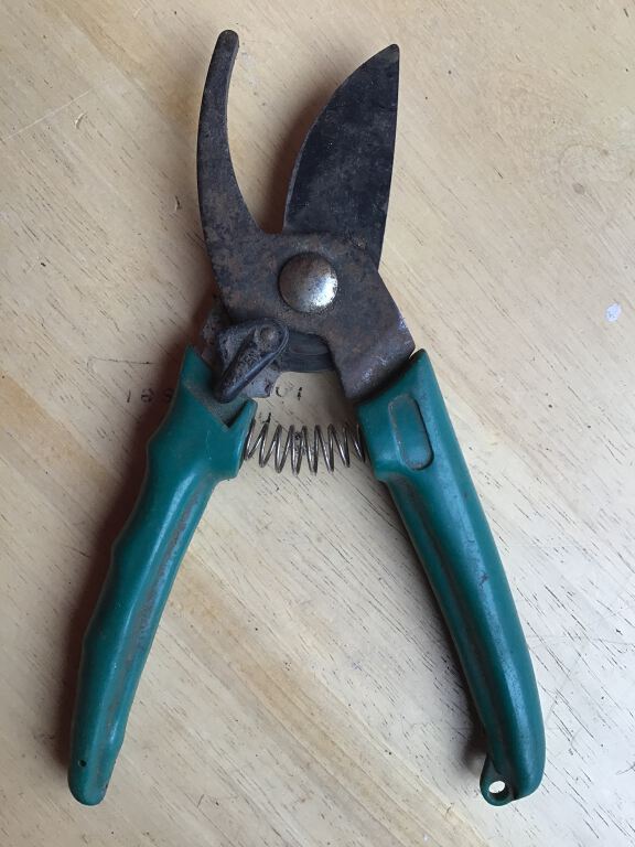 Secateurs